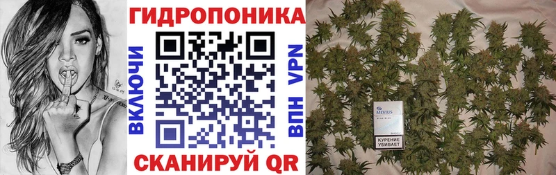 Виды наркотиков купить Миньяр Канабис  Кокаин  A PVP  Мефедрон  ГАШИШ 