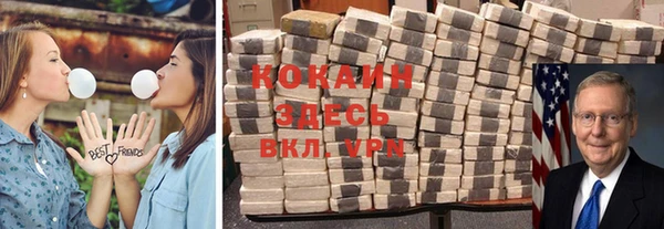соль ск Алзамай